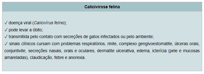 Calicivirose Felina