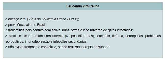 Leucemia Viral Felina