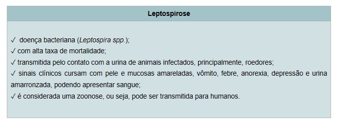Leptospirose Canina - Vacinas para Cachorros